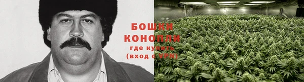 дурь Алексеевка