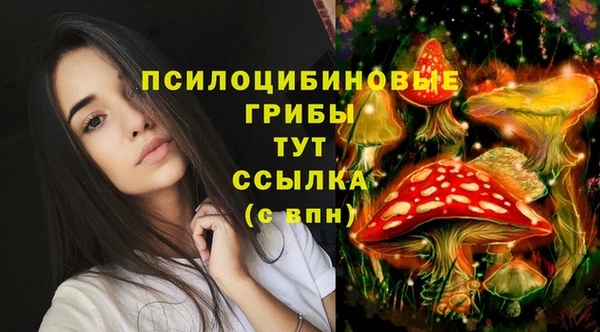 кристаллы Алексин