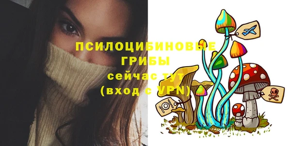 гидра Алзамай