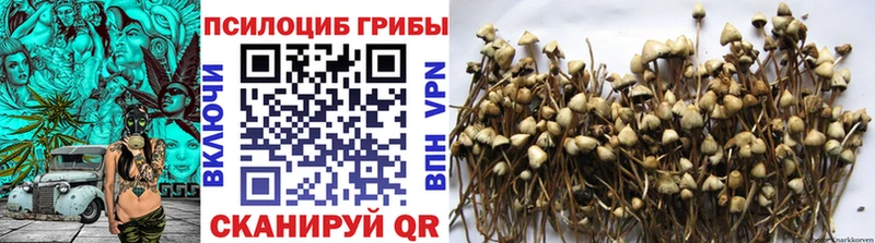 закладки  Россошь  Псилоцибиновые грибы ЛСД 